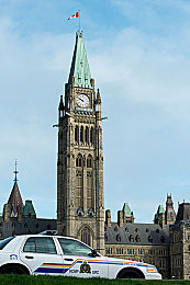 日批发软件大全免费下载：极限竞速地平线5，高效收集改装你的梦想车库-4