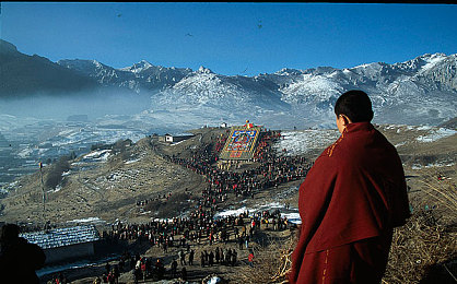 爱情岛成人：极速心跳，热带赛道上的浪漫交锋-1