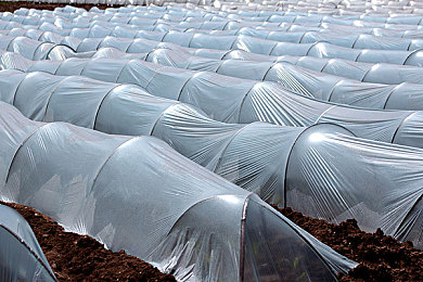 one一个成年的世界一个就够老杀版本:极致掌控,赛道哲学,成年玩家的终极解压新作今日上线-2