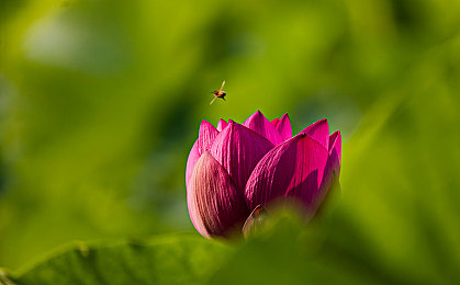 亚洲一区2：霓虹都市竞速新作登场，动态天气与深度改装颠覆赛车游戏体验-3
