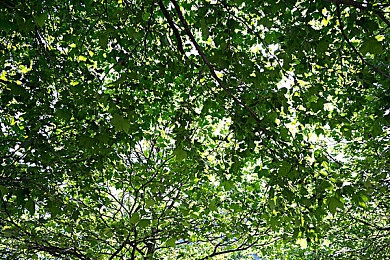 黄色带APP:霓虹数据交响,动态协议中的极速哲学-3