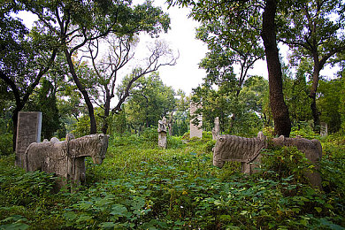 爱情岛论坛：在墨西哥的日落海岸，找到你的竞速与归属-1