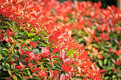 AV国产剧情:驾驶叙事新突破,国产游戏《归途2077》让公路承载东方赛博朋克史诗-3