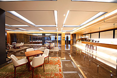 天天干干：《极限竞速：地平线5》今日评测，墨西哥开放世界驾驶盛宴揭秘-4