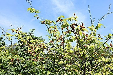 91精业传媒果冻传媒：弹性竞速，驾驭柔韧之旅的物理新纪元-4