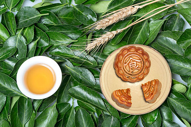 八神重子和丘丘人繁衍后代：格斗血脉跨界奇幻世界，开启元素融合新冒险-2