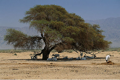 男人和女人做坤坤:双人共驭,弯道协奏的极速共鸣之旅-2