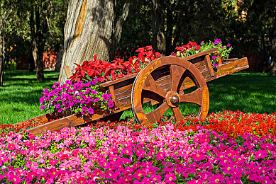 17c在线吃瓜：墨西哥狂飙，动态气候下的竞速奇观与围观乐趣-3