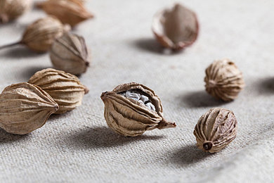 国产AV色欲：视觉竞速新浪潮，国产美学驾驶游戏深度解析与攻略-3