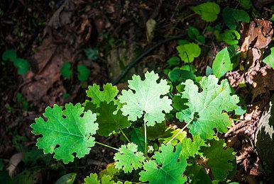成人国产av影视：国产竞速新作发布，硬核驾驶与视听盛宴引爆玩家热情-4