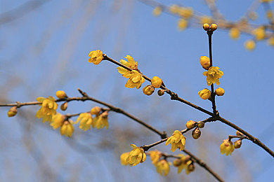 男女在一起差差差的APP：双人驾驶新游引爆热议，从操作灾难到极致默契的进化之旅-2