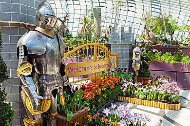 男人和女人的一起差差差app：双人协作驾驶新纪元，极限竞速如何将差异转化为竞速优势-3