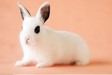 男和女一起差差差APP：异质协奏，时差竞速中的双生驾驶艺术-2