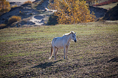 汤姆影院最新入口：极速穿梭光影赛道，解锁电影主题竞速新体验-5