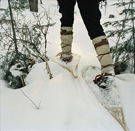成人性做爰直播apP：虚拟直播竞速新游极光赛道，体验驾驶与互动双重狂飙-2
