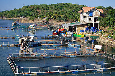 十大黄软：经典赛车游戏封面为何偏爱亮黄色，揭秘色彩背后的速度密码-2