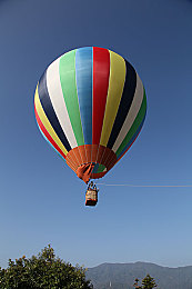 蜜桃视频app下载直播：极速狂飙新体验，直播互动畅享虚拟赛道风云-2