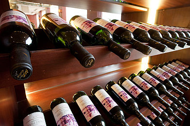 蝌蚪窝一个释放蝌蚪:基因引擎,破茧狂飙,机械生命竞速幻想曲-4