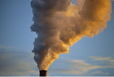 私人调教男性sM男奴：极速调校师，以精妙改装驾驭赛道，成就专属机械伙伴