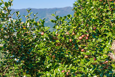 华为3.0.3.0破解安装每天无限：赛博狂飙今日上线，无限改装重塑竞速游戏新纪元-3