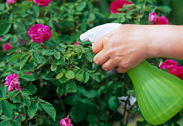 干逼APP：极速信仰，指尖赛道，人车合一驾驶模拟-3