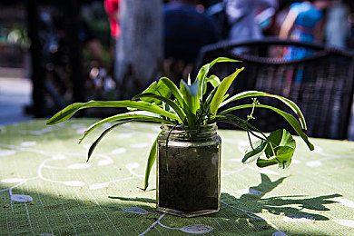 快色TV：霓虹城极速直播新游上线，赛车手兼主播的双重挑战今日开启