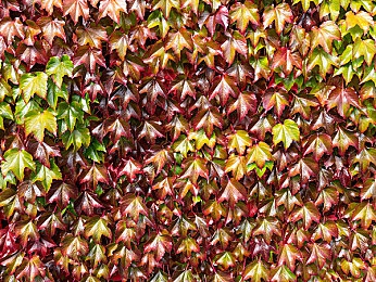 18禁止网站：数字深渊中的道德抉择，你的选择将重塑网络犯罪迷局-2