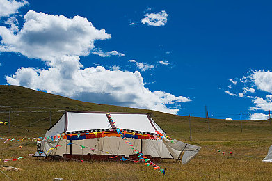张津瑜未处理A片：速度与良知的对决，极速审判重塑竞速游戏道德边界-4