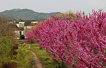 初中生张婉莹：极速方程式，在学业与赛道间寻找青春的完美平衡点-3