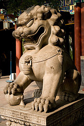 美女没有穿衣服软件：当赛道隐去形迹，胜负归于视觉的博弈-4