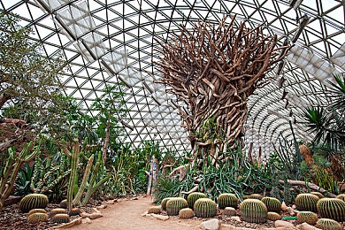 男生女生一起修修修轮滑鞋：双人改装竞速新游今日上线，默契协作挑战极限赛道