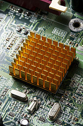 丁香花激情:紫韵飞驰,墨西哥花海中的速度诗篇-2