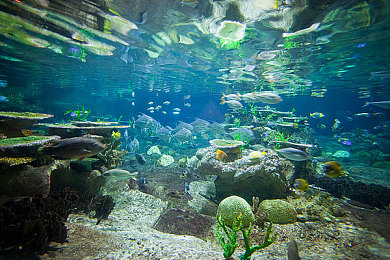 黄色软件3：3：极限调校揭秘,勒芒冠军数据驱动,全新赛车模拟颠覆改装玩法-3