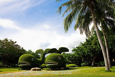 打扑克又叫又疼免费视频软件：融合卡牌策略与赛车竞速，全新免费游戏极速扑克狂飙赛道今日上线-3