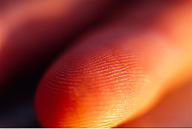 《人猿泰山》意大利版:引擎轰鸣穿梭原始丛林,意大利超跑开启冒险新纪元-2