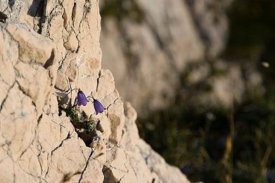 桃传媒：赛博都市极速传说，霓虹速度2077今日正式上线