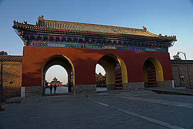 双人剧烈运动打扑克：竞速对决战局新玩法，卡牌策略点燃赛道对决-2