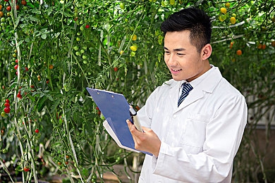 黄色的APP下载oppo:极速黄潮登陆Oppo平台,明黄风暴掀起移动竞速新热潮-2