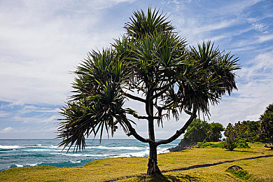 十大色黄软件：霓虹飞驰极光赛道，视觉盛宴与竞速艺术的完美融合-4