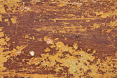 女人和猪交配:《农场狂飙》全新生物融合系统上线,争议性组合引爆玩家创意狂潮-4