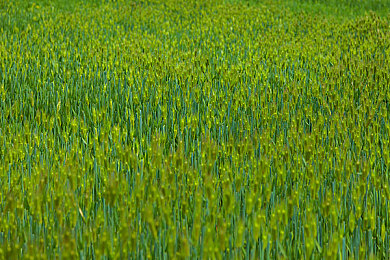 黄色APP免费下载3.0：墨西哥狂野飙车，极限竞速地平线五开放世界驰骋之旅-2