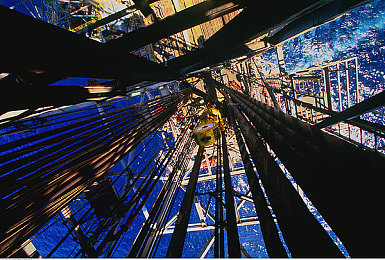 不知火舞和三个小孩森林公园：格斗女王化身守护者，温馨冒险点亮森林秘境-4