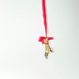 男生日女生APP：虚拟伴侣与极速引擎的共生之旅-2