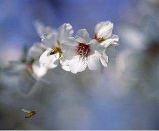 免费网站你应该知道我说的是什么意思：开放世界竞速新攻略，车辆调校与警察追逐技巧全解析-4