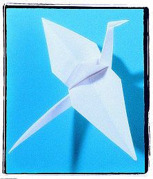 男人干女人的软件：极速征途，性别引擎驱动的策略竞速新纪元-2