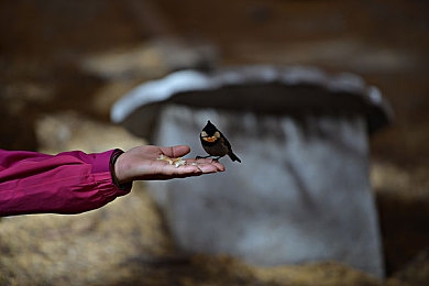 美国海军女娃娃：海上战术竞速，驾驭未来悬浮战车挑战惊涛骇浪