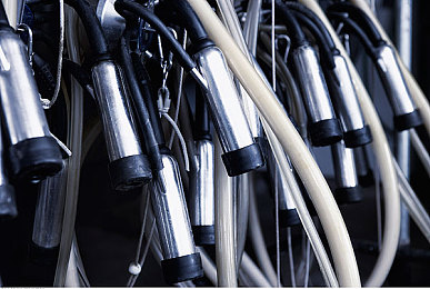 张柏芝殖器12图片：极速幻影视觉档案12上线，未来都市竞速与幻影涂装引爆赛道-3