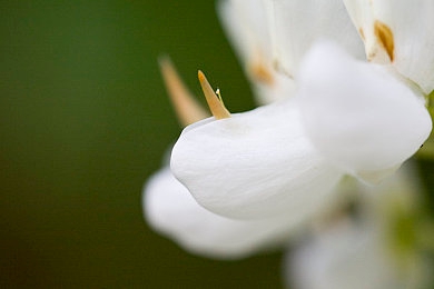 78m隐藏通道三:地下狂飙,幽灵隧道的十五秒极限试炼-2