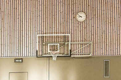 黄色应用在线下载：极限竞速地平线5，个性化改装与社区创意全攻略-5