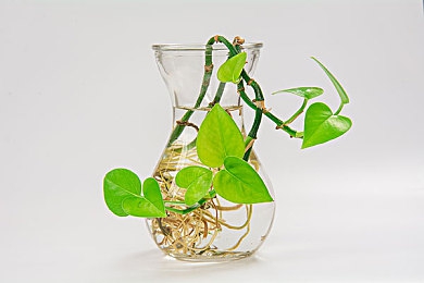 打扑克又喊又叫。：极速牌局今日开赛，狂野飙车9全新攻略揭秘赛道心理战-3